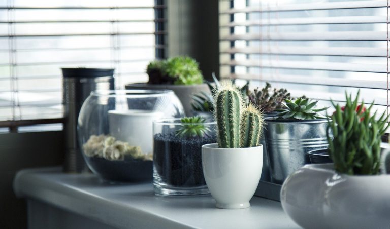 Flower kitchen window